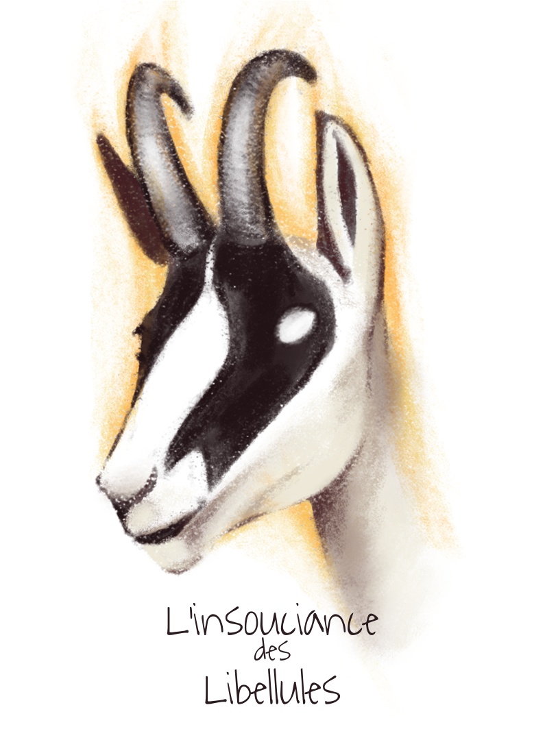 L’insouciance des libellules
